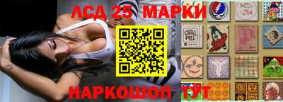 спиды Кимры