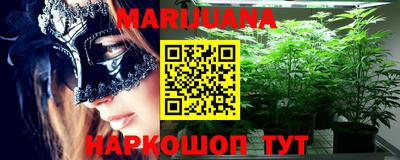 стафф Кингисепп