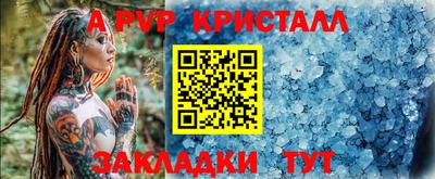 стафф Кингисепп