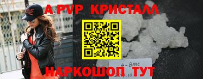 стафф Кингисепп